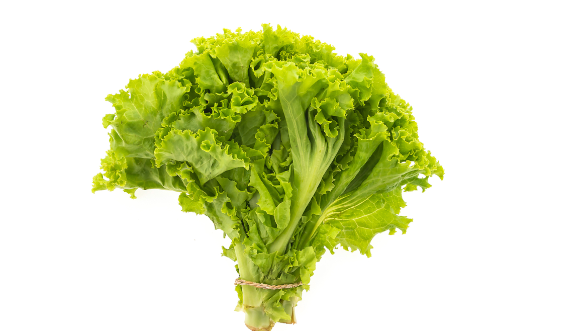 Lettuces